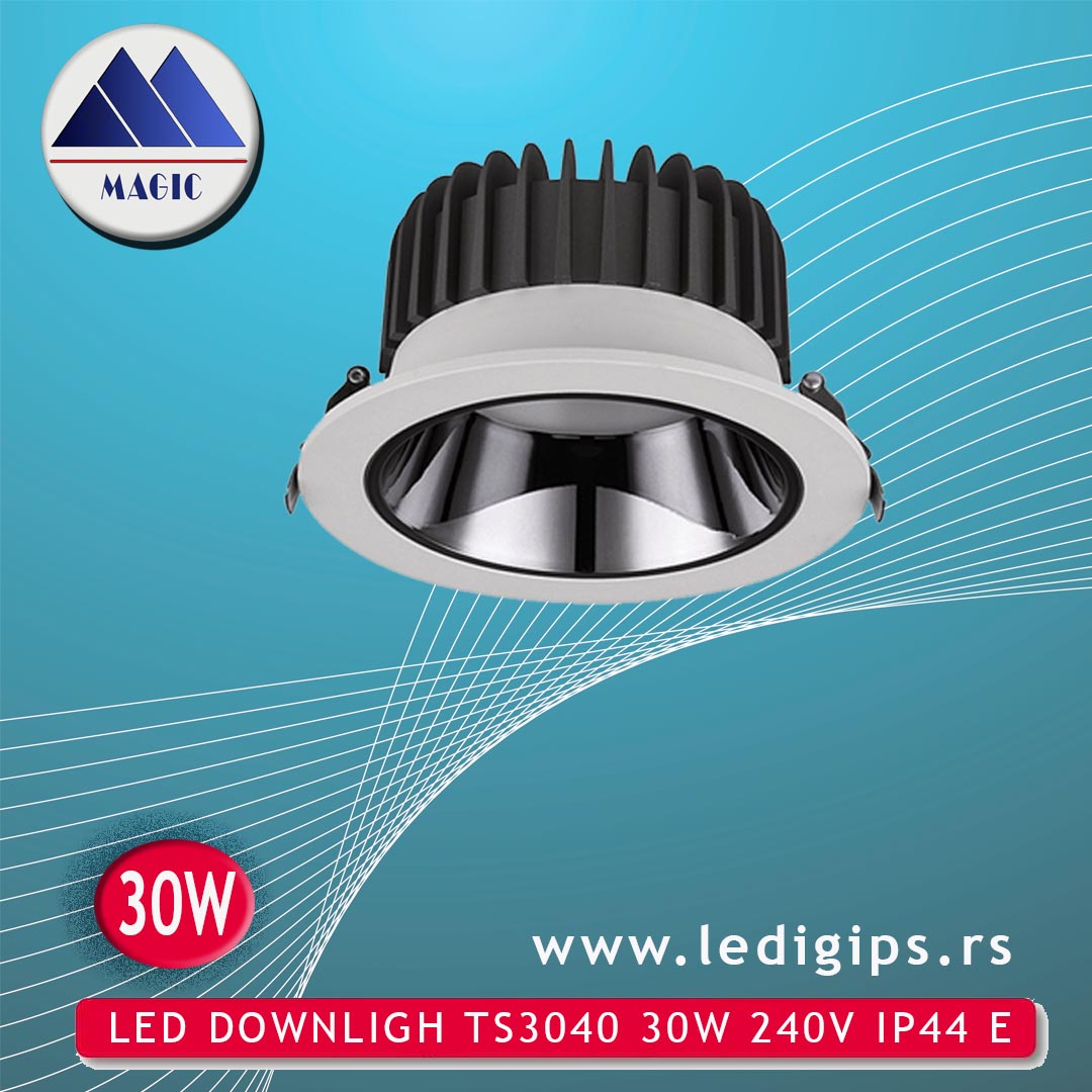LED DOWNLIGH TS3040 30W 240V IP44 E
